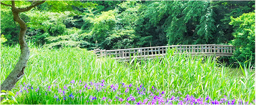 石神井公園とは