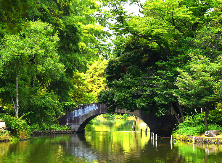 石神井公園の紹介 